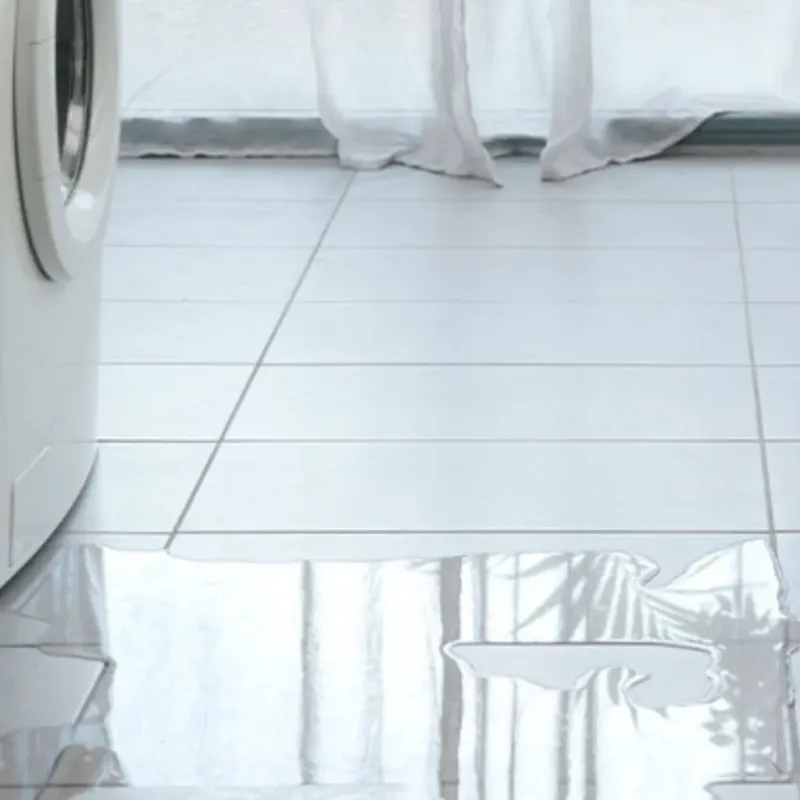 Appliance Leak Cleanup in Butts County, GA