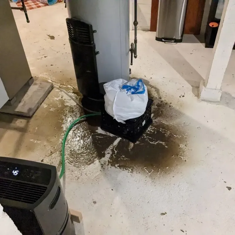 Sewage Backup Cleanup Service in Butts County, GA